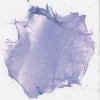 A-04-b.svs.tif thumbnail