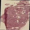 21-LN GA17.jp2.tif thumbnail