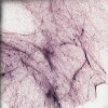 4_Areolar_Tissue_Spread.svs.tif thumbnail