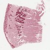 HU55_20x.svs.tif thumbnail