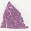 _105 Sublingual gland 40x.svs.tif thumbnail
