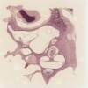 13-79686_209 Ear Crista.svs.tif thumbnail