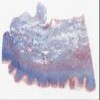 Michigan 250-2_HISTO_20X.svs.tif thumbnail