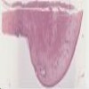 _185 Cervix 20x.svs.tif thumbnail