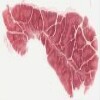 Michigan 140_HISTO_40X.svs.tif thumbnail
