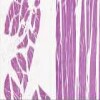 Skeletal Muscle_IOWA.svs.tif thumbnail