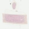 HU95_40x.svs.tif thumbnail