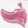 60. Epiglottis.svs.tif thumbnail